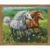 Collection D'Art Horses In The Meadow Diamond Painting