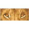Diamond Dotz Lion Spy Diamond Painting