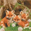 Crystal Art Foxes Diamond Painting