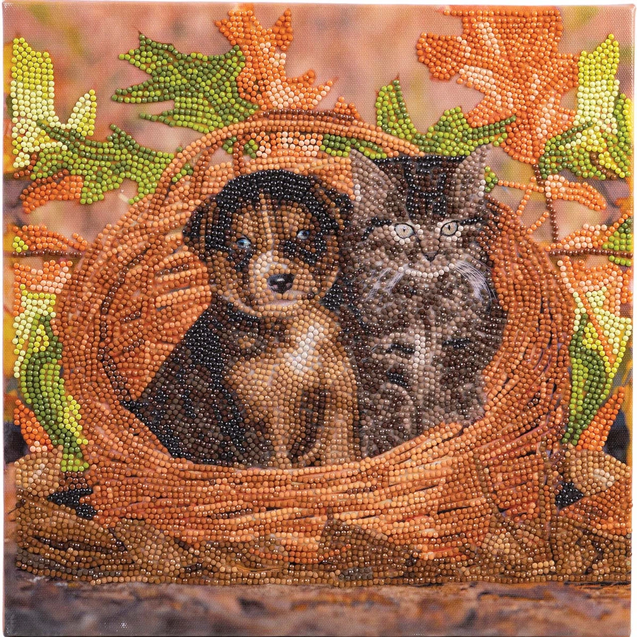 Crystal Art Best Friends Diamond Painting 1 Crystal Art Best Friends Diamond Painting