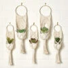 Herrschners Twist Knots Plant Hanger Macrame
