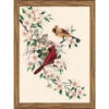 Dimensions Cardinals In Dogwood Stamped Embroidery Kit