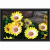 Sunrays Creations Needlearts Painted Daisies Counted Cross-Stitch Chart