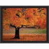 Sunrays Creations Needlearts The Glory Of October Counted Cross-Stitch Chart