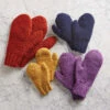 Herrschners Easy Family Mittens Yarn Kit