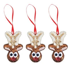 Sunrise Craft & Hobby Santa's Reindeer Ornament Kit
