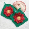 Village Yarn Poinsettia Dishcloths Crochet Kit