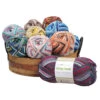 Willow Yarns Stripy Socks Palette Yarn Pack